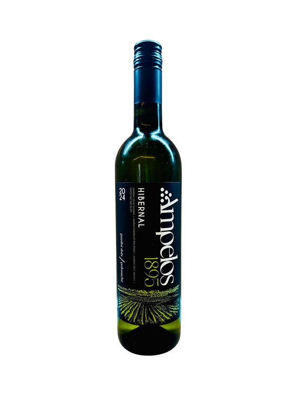 Hibernal 2024 late harvest 0,75 l 13%